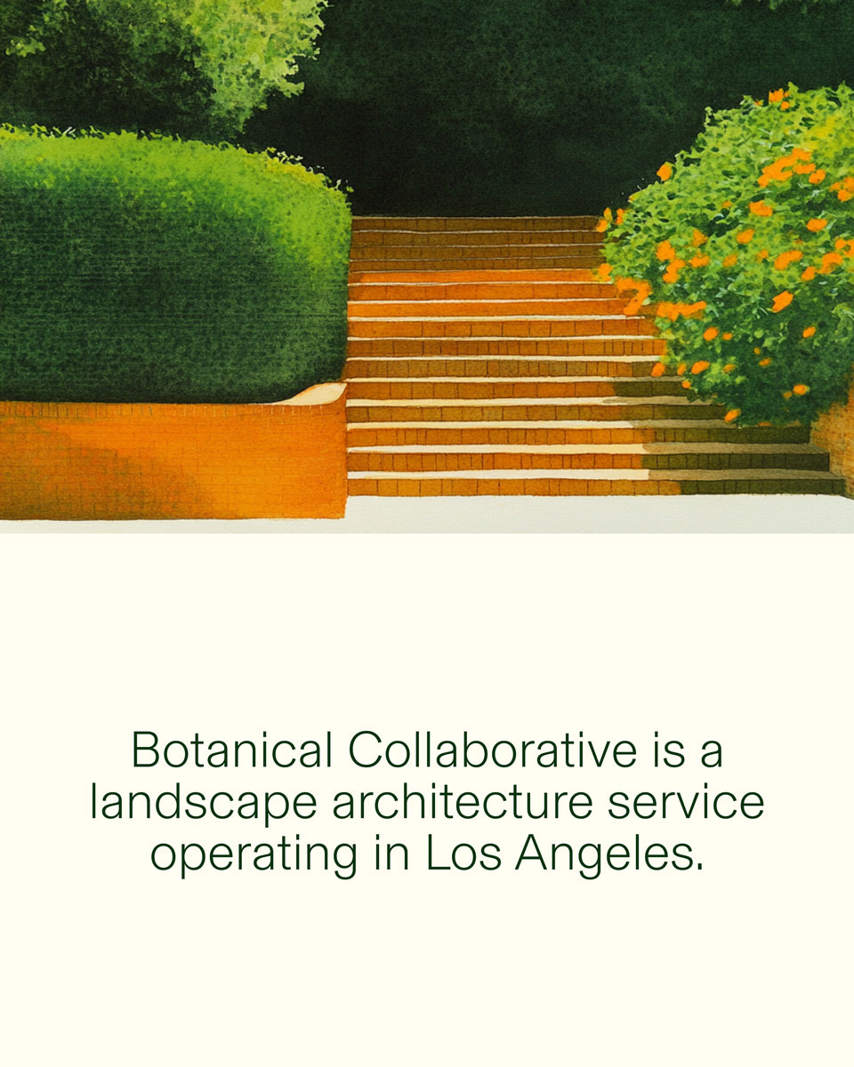 S.A._Botanical Collaborative_1