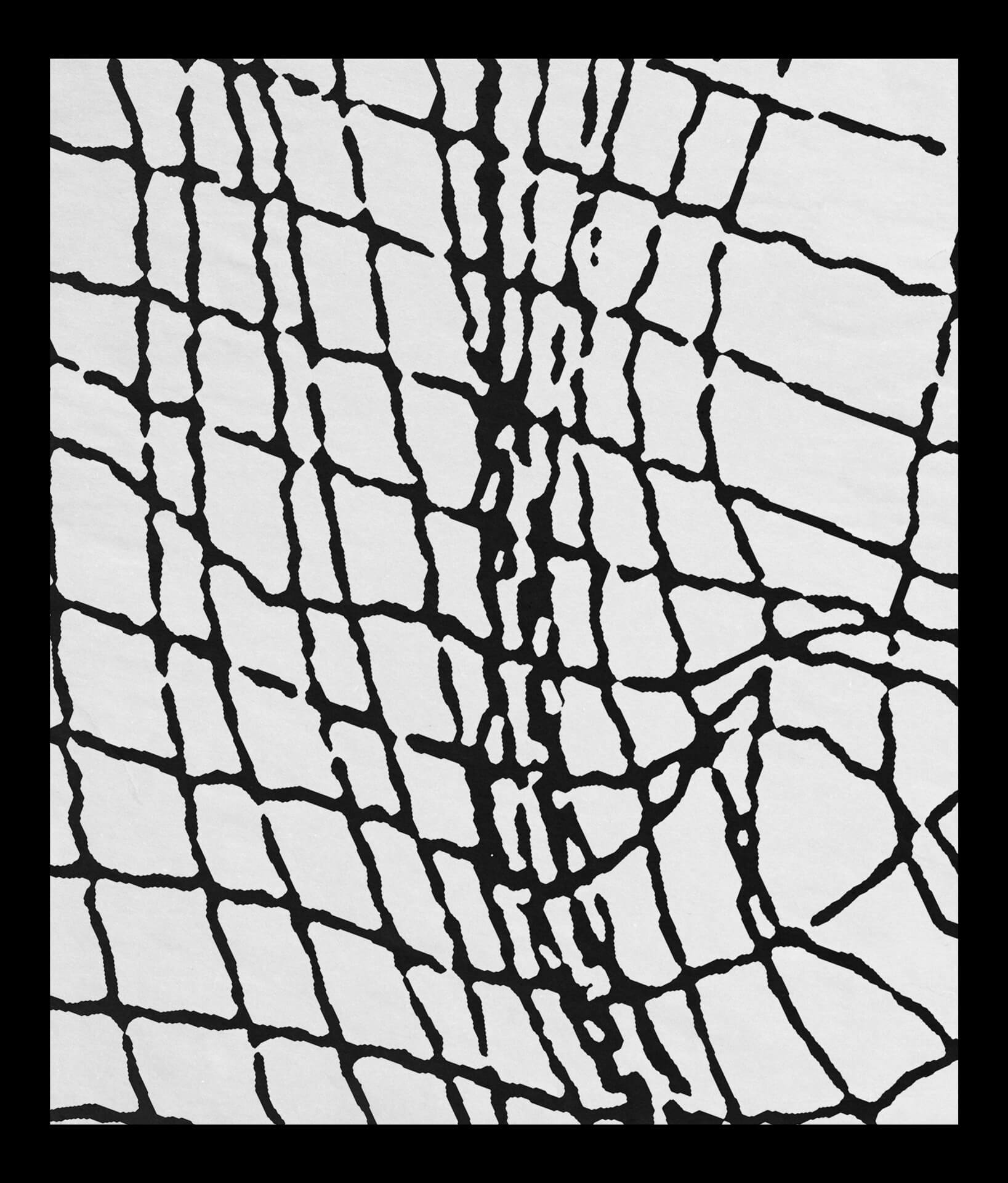 S.A._Graphite Tennis_2